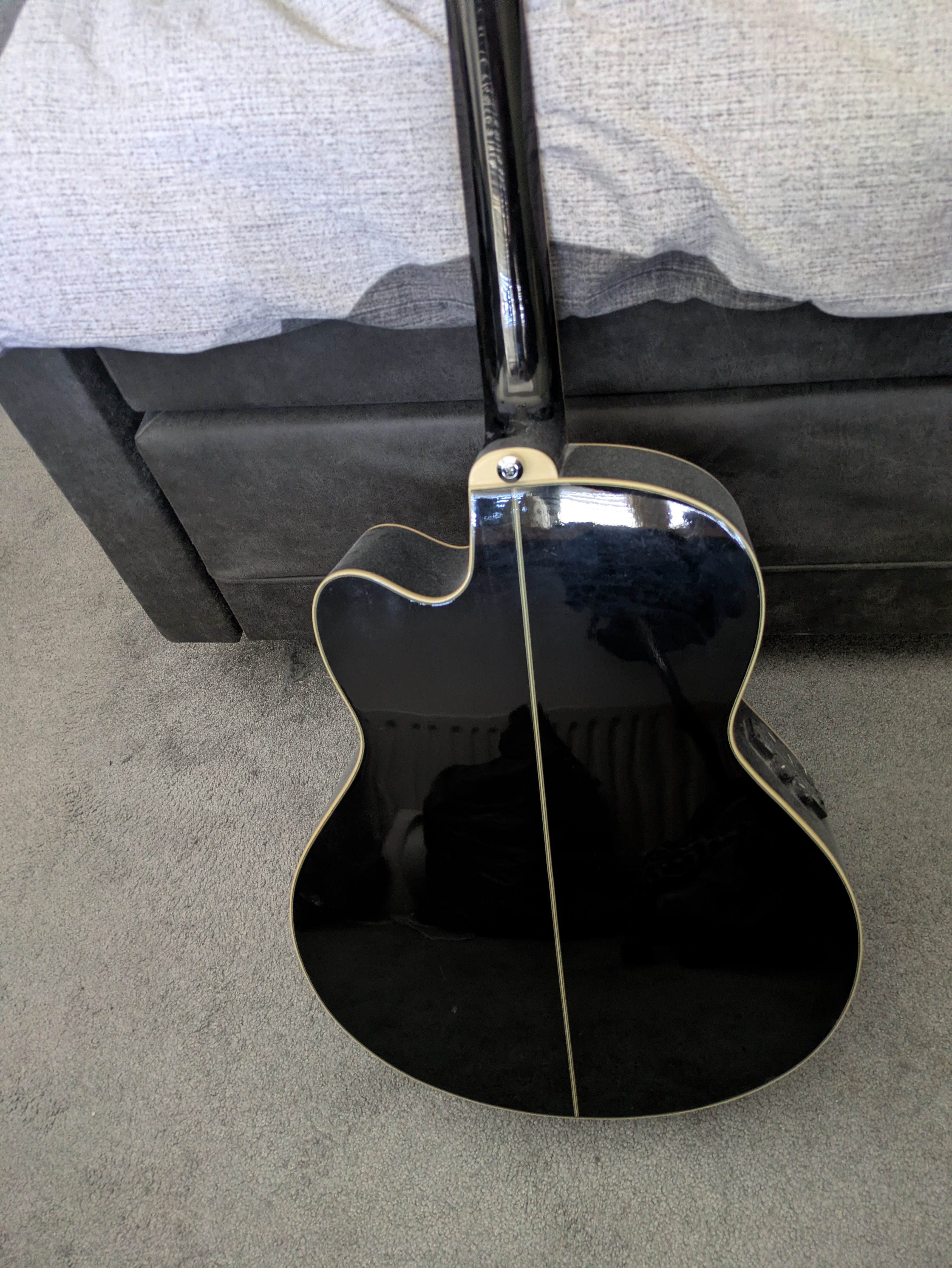 Ibanez AEL 10E